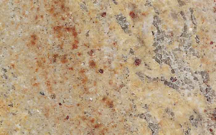 Shivasashi Shivasashi