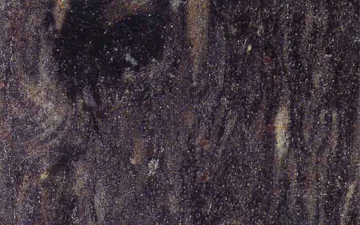 Forrest Black Forrest Black