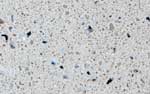 Quartz Worktops in Glasgow and Granite Worktops Glasgow